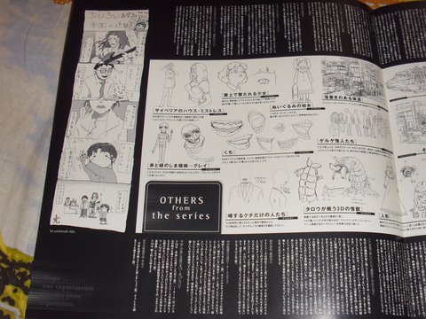 Serial Experiments Lain LaserDisc: фото 57