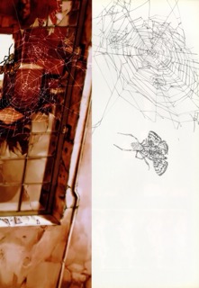 Lain Illustrations (2006): 017